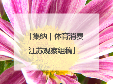 集纳｜体育消费江苏观察组稿